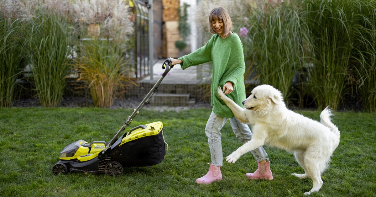 Spring Yard Cleanup to Keep Your Pets and Family Safe